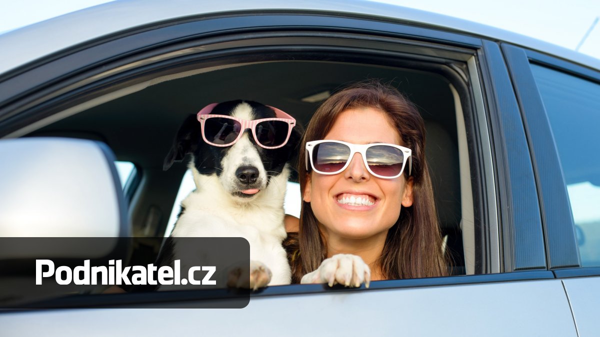 Cestovní pojištění pro psy i tolerance alkoholu. Co v létě nabízejí pojišťovny?