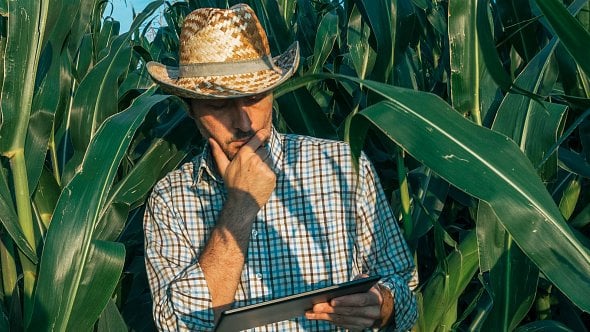 Probíhá v zemědělství digitální revoluce? Moderních technologií je spousta