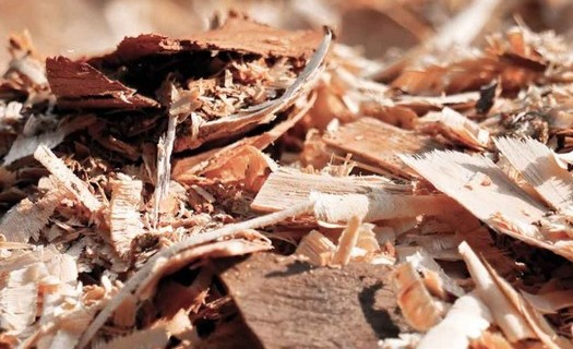 Výroba a zpracování biomasy Zruč nad Sázavou, výkup zpracované dřevní hmoty, pelety, brikety