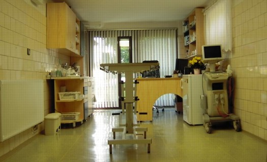 Veterinární ambulance Zábřeh, preventivní a léčebná péče, europasy, čipování zvířat, zubní kámen