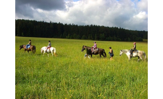 Jízdy na koních a ubytování pro rodiny s dětmi na malebné Farmě Malenice