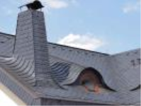 Rekonstrukce střechy, pokrývačské, klempířské a tesařské práce
