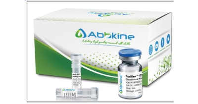 Novinka od výrobce Abbkine – kity určené k purifikaci a primární i sekundární protilátky