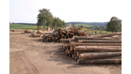 Dřevovýroba, výroba řeziva-pořez kulatiny, impregnace, řezání dřeva
