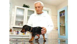 Povinné očkování psů proti vzteklině Jablonec Liberec vakcinace.
