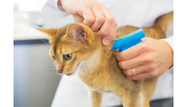 Veterinární vyšetření, RTG, SONO, prevence a očkování zvířat