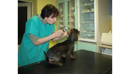 Očkování vakcinace ošetření odčervení psů koček domácích zvířat Liberec Jablonec.