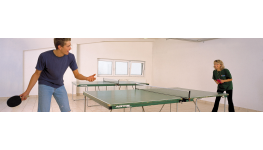 Celoroční provoz malého sálu pro stolní tenis a cvičení