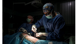 Veterinární laparoskopické operace, 3D laparoskopie, ultrazvukové vyšetření