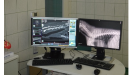 CT vyšetření Vašeho psa nebo kočky - počítačová tomografie a operace