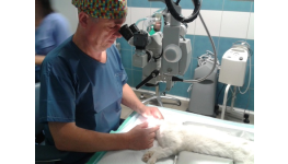 Operační mikroskop pro chirurgické zákroky očí a víček u zvířat