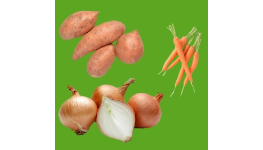 Čištěná, krájená, strouhaná zelenina – mrkev, krouhané zelí, červená řepa, celer