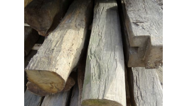 Výkup odpadního stavebního dřeva, dřevěných palet, nábytku, odřezků, větví