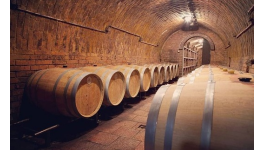Degustace vína pro menší skupiny v archivním sklepě Pod Novosady mezi vinicemi
