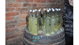 Otevřené sklepy vinařství Zaječí jižní Morava