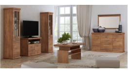 Stylové obývací stěny a sestavy či sektorový nábytek do obývacích pokojů