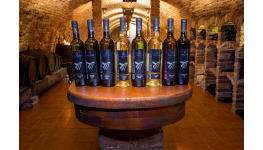 Eshop, prodej dárkových balení vín – moravské bílé a červené víno z rodinného vinařství