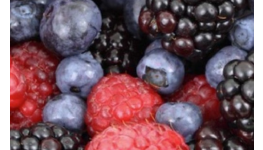 Sadbové jahody, ovocné stromky a keře z vlastní produkce