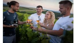 Skupinové akce, oslavy a firemní teambuildingy ve vinohradě s bohatým doprovodným programem