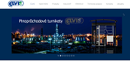 Strona (witryna) internetowa ELVIS