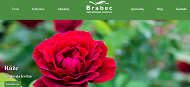 Strona (witryna) internetowa Zahradnicke centrum Brabec, s.r.o.