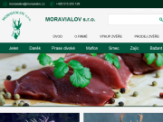 Strona (witryna) internetowa MORAVIALOV s.r.o.