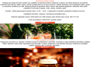 Strona (witryna) internetowa Restaurace Na Rynku Kromeriz