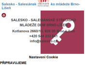 Strona (witryna) internetowa Salesianske stredisko mladeze - dum deti a mladeze Brno-Lisen