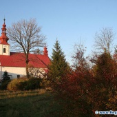 Obec Vražné, rodný dům a muzeum Johanna Gregora Mendela, kostel, sochy