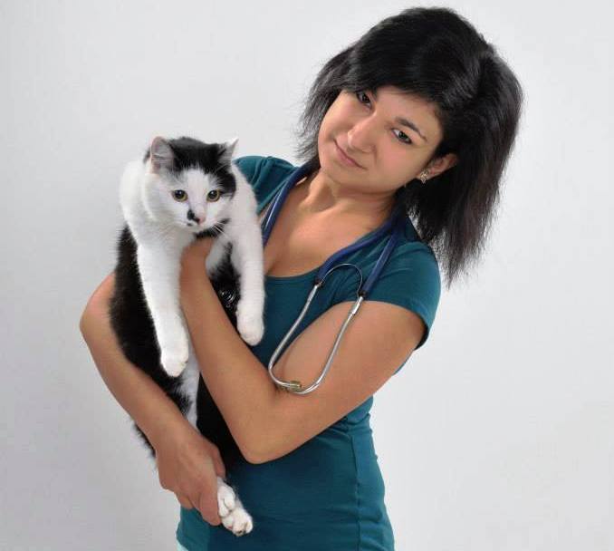 Čipování psů a koček Opava - špičkový veterinář, který spolehlivě očipuje Vaše zvíře