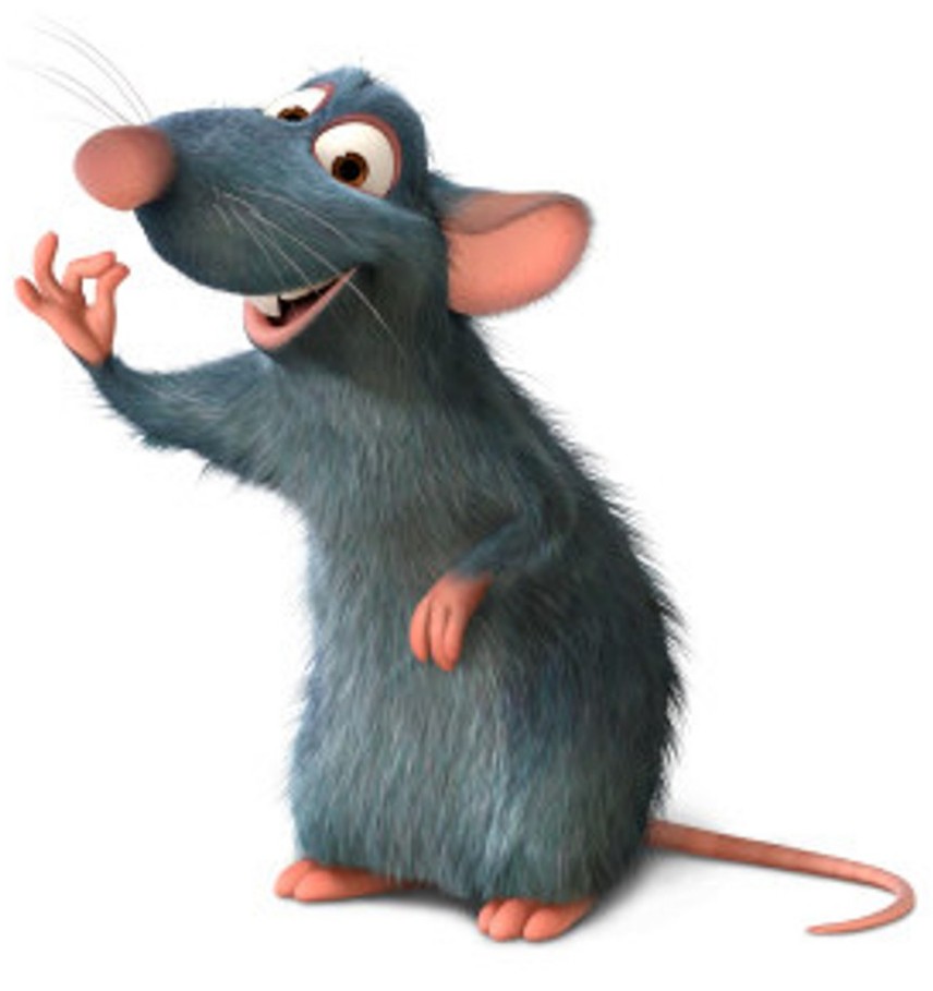 Dezinsekce deratizace hubení hlodavců potkanů krys myší hmyzu
