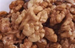 Zásobování pekáren vlašské ořechy