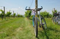 Obec Vrbice, vinařský mikroregion Modré Hory, cyklotrasy, dny otevřených sklepů