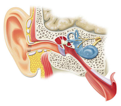 Vyšetření sluchu, ORL, foniatrie, sluchadla,  Uherské Hradiště