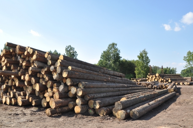 Zpracování stavebního řeziva krovy, jehličnaté a listnaté stromy