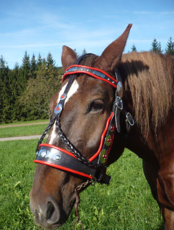 Kožené popruhy a vozové ohlavy pro tažné i jezdecké koně