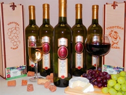 Prodej a výroba kvalitní moravské víno, přívlastkové vína, sklep Čejč