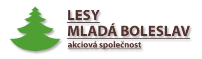 Palivové dřevo Mladá Boleslav – dobře vyschlé a nařezané za příznivé ceny