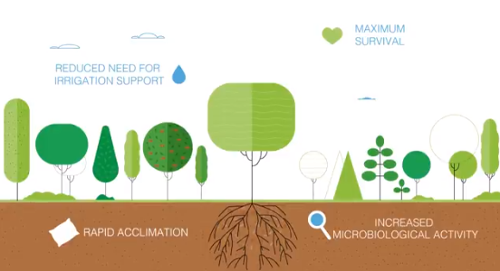 Půdní kondicionér pro sázení stromů a keřů a zlepšení jejich aklimatizace po zasazení
