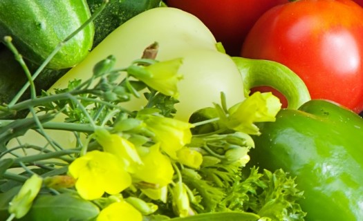 Velkoobchod ovoce a zeleniny Ústí nad Orlicí - čerstvé ovoce, zelenina a konzumní brambory