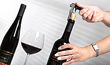 VÍNO BLATEL, a.s., prodej vín jakostních, luxusních, přívlastkových, e shop