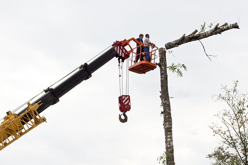 Rizikové kácení stromů pomocí plošiny či jeřábu