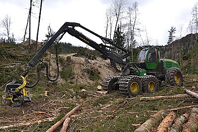 Těžba dřeva harvestorovou technologií, přibližování a kácení dřevin