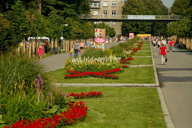 Mezinárodní zahradnická výstava a veletrh, letní trhy Flora