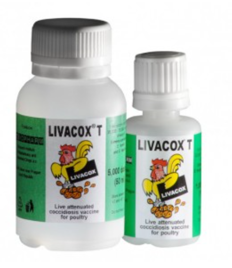Vakcíny LIVACOX proti kokcidióze kura domácího - vlastní výroba