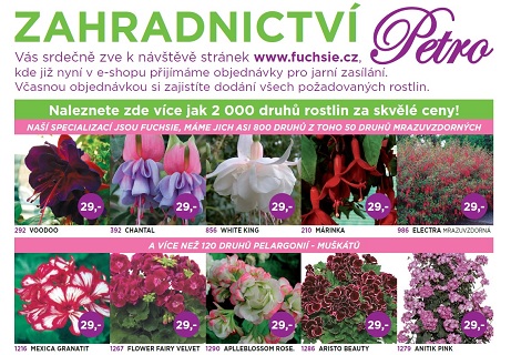 Květiny a rostliny online - eshop fuchsie.cz