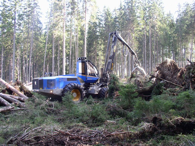 Hanko CZ, s.r.o. Šumava, těžba dřeva harvestory