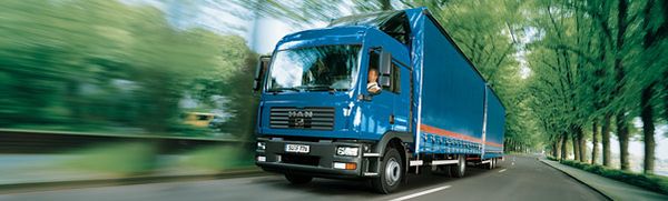 Profesionální mezinárodní kamionová doprava