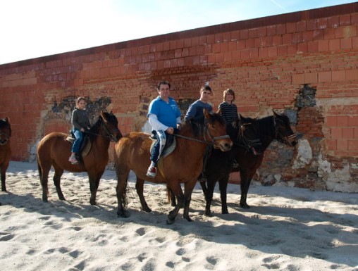 Farma Olšovka, jízdy na koních i ubytování