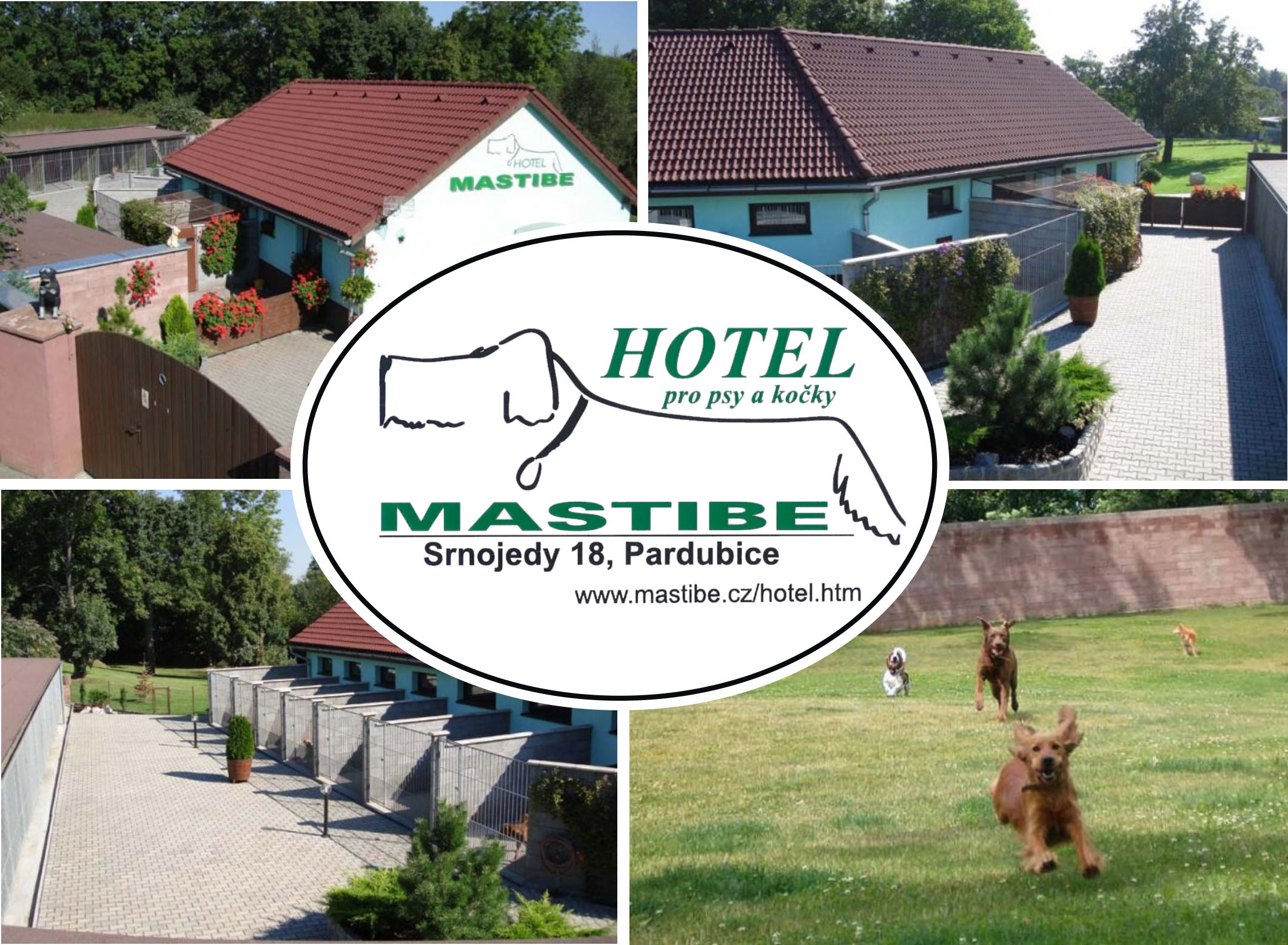 ***** Hotel pro psy a kočky Mastibe ***** psí hotel